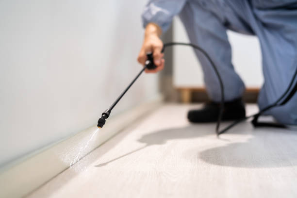 Professional exterminator conducting IPM assessment in Dunstan