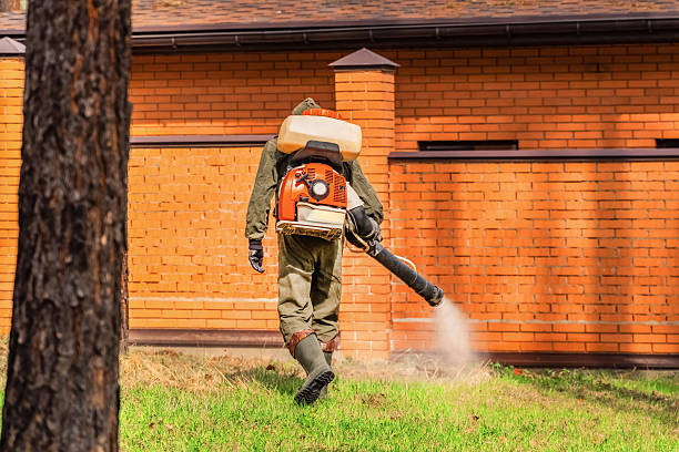 Top rated local Wasp Removal specialists in Dunstan, ME